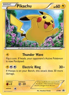 Pikachu, XY Black Star Promos XY89/211