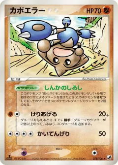 カポエラー, 金の空、銀の海 075/106