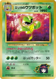 エリカのウツボット, リーダーズスタジアム 042/96