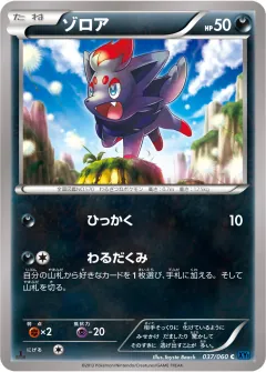 ゾロア, コレクションX 037/60