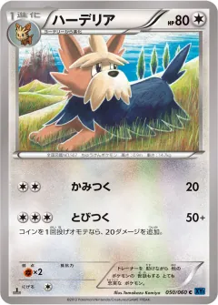 ハーデリア, コレクションX 050/60