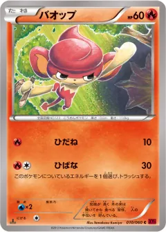バオップ, コレクションY 010/60