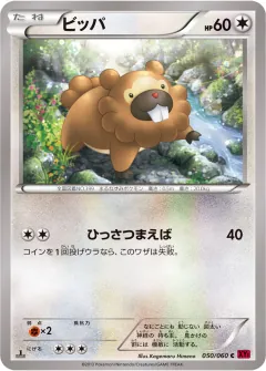 ビッパ, コレクションY 050/60