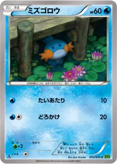 ミズゴロウ, タイダルストーム 012/70