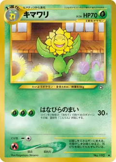 キマワリ, 金、銀、新世界へ... 036/96