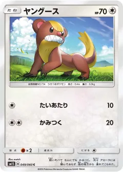 ヤングース, コレクションサン 049/60