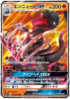 エンニュートGX, 新たなる試練の向こう 010/49