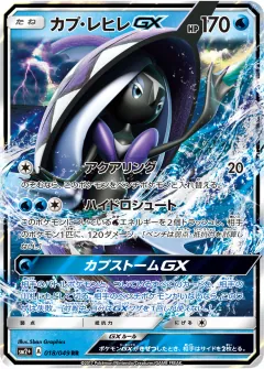 カプ・レヒレGX, 新たなる試練の向こう 018/49