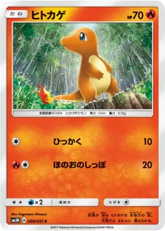 ヒトカゲ, 闘う虹を見たか 009/51
