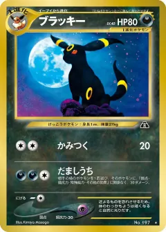 ブラッキー, 遺跡をこえて... 044/56