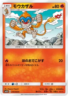 モウカザル, ウルトラサン 019/66