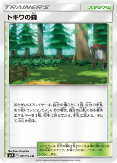 トキワの森, タッグボルト 091/95
