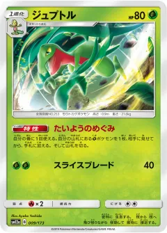 ジュプトル, TAG TEAM GX タッグオールスターズ 009/173
