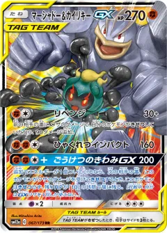 マーシャドー&カイリキーGX, TAG TEAM GX タッグオールスターズ 067/173