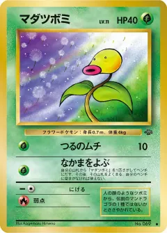 マダツボミ, ポケモンジャングル 012/48