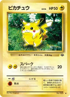 ピカチュウ, ポケモンジャングル 024/48