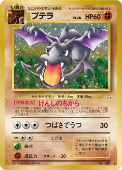 プテラ, 化石の秘密 041/48
