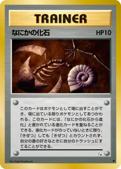 なにかの化石 , 化石の秘密 045/48