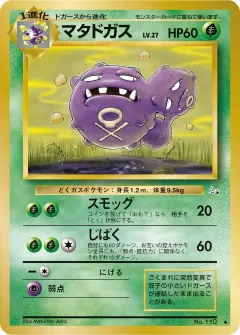 マタドガス, 化石の秘密 007/48
