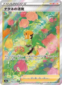 ナタネの活気, VSTARユニバース 243/172