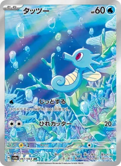タッツー, ナイトワンダラー 067/64