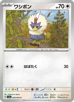 ワシボン, 楽園ドラゴーナ 049/64