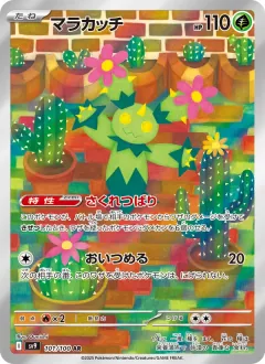 マラカッチ, バトルパートナーズ 101/100